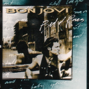 老骚逼求操视频
