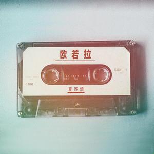 老骚逼求操视频
