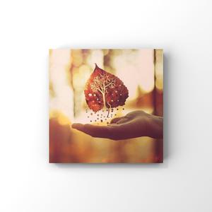 老骚逼求操视频
